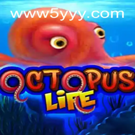 Discover OctopusLife: Dive into a Unique Gaming Experience Amidst Brazil’s Betting Craze